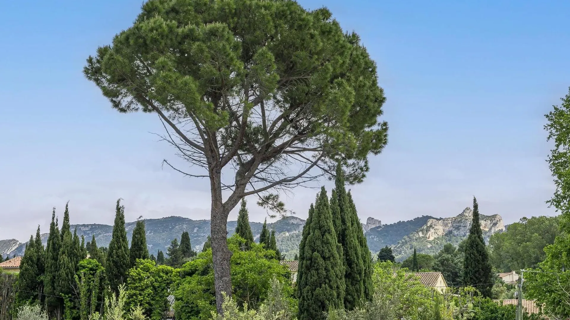Le Jardin Secret De Saint-Remy Villa Saint-Remy-de-Provence